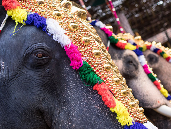 Kerala Festivals